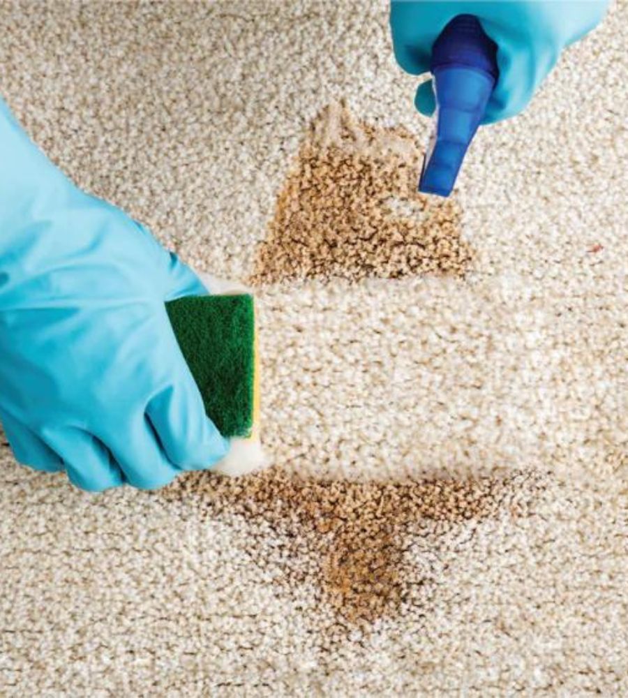 Carpet Stain Removal NYC